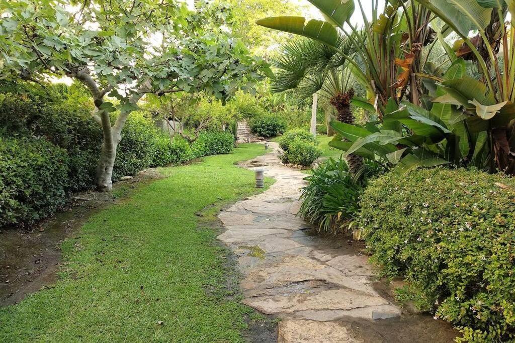 Cozy Apartament In Golden Mile Marbella Ngoại thất bức ảnh